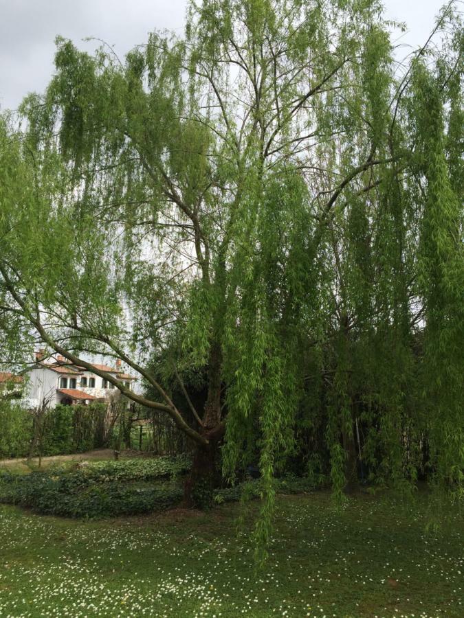 לינה וארוחת בוקר San Donà di Piave Ca L'Oasi מראה חיצוני תמונה